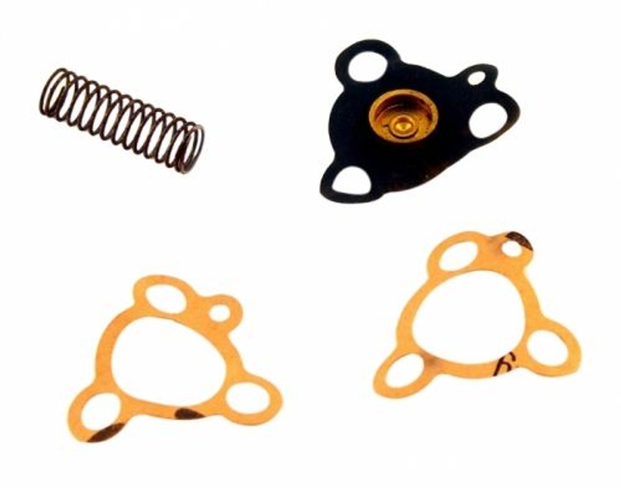 Membransats Förgasare Zenith VIG