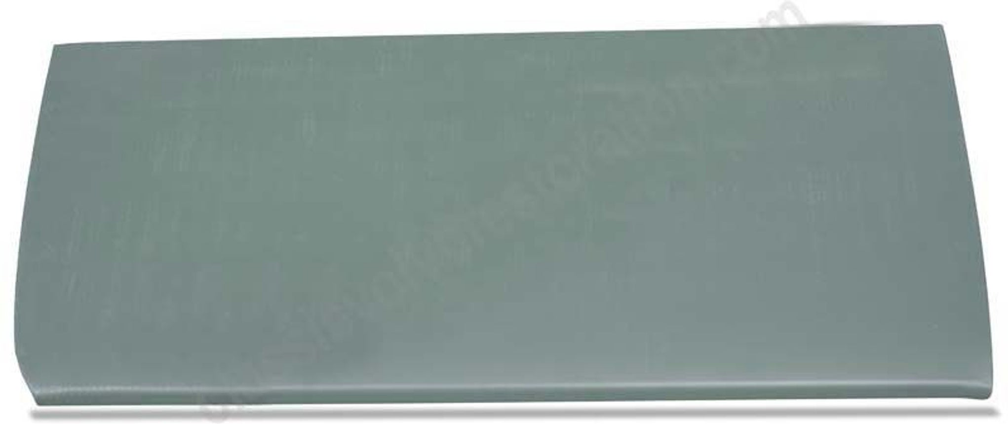 Dörrplåt Amazon 2d höger